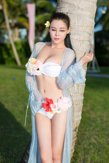 黄色日本老狼